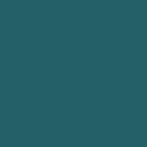 NAO BLUE T0-5031