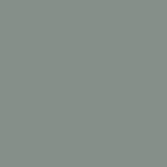 ASA 61 Gray Low Gloss UD