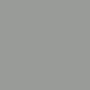 ANSI 61 GRAY