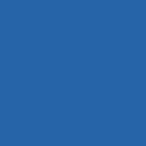 American Airlines Blue