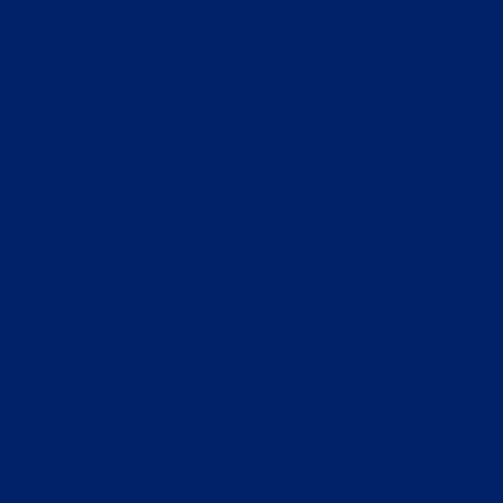 PMS 280C BLUE TEXTURE