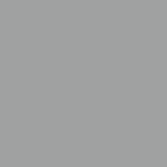 RAL 7004 SIGNAL GRAY